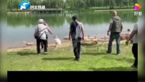 河南男学生爆料新闻事件,揭开校园霸凌黑幕  第3张 河南男学生爆料新闻事件,揭开校园霸凌黑幕  第3张