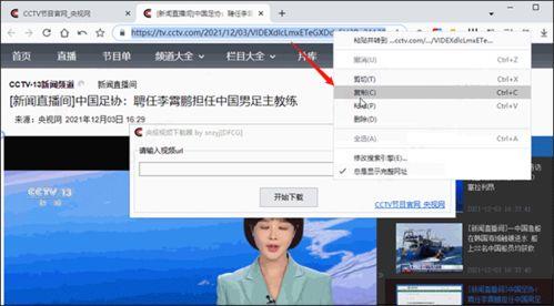 爆料获奖的视频下载软件,一网打尽全网热门视频,轻松下载无忧
