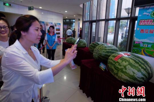 威远吃瓜最新事件爆料新闻,最新爆料揭露惊人内幕  第3张 威远吃瓜最新事件爆料新闻,最新爆料揭露惊人内幕  第3张
