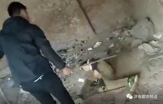 济南校园爆料事件视频曝光,真相与争议交织  第2张 济南校园爆料事件视频曝光,真相与争议交织  第2张