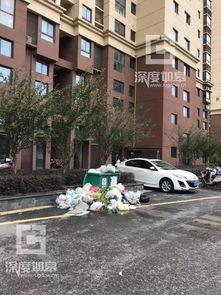 绿洲小区爆料事件最新,揭秘背后真相与争议焦点  第3张 绿洲小区爆料事件最新,揭秘背后真相与争议焦点  第3张