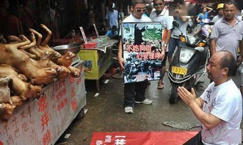 贵港宠物店爆料事件最新,揭露行业黑幕,宠物权益引关注
