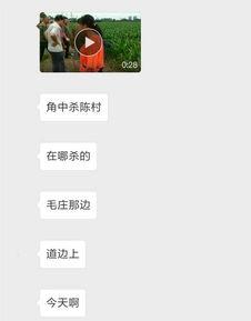 藁城网友爆料最新新闻,最新突发事件引发关注  第2张 藁城网友爆料最新新闻,最新突发事件引发关注  第2张