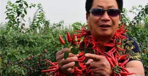 中国辣王被爆料视频大全,揭秘中国辣王被爆料视频大全  第2张 中国辣王被爆料视频大全,揭秘中国辣王被爆料视频大全  第2张