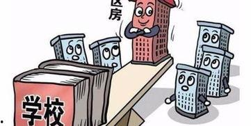 哈尔滨入学最新爆料,揭秘2024年入学政策与热门学校动态  第3张 哈尔滨入学最新爆料,揭秘2024年入学政策与热门学校动态  第3张